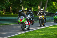 cadwell-no-limits-trackday;cadwell-park;cadwell-park-photographs;cadwell-trackday-photographs;enduro-digital-images;event-digital-images;eventdigitalimages;no-limits-trackdays;peter-wileman-photography;racing-digital-images;trackday-digital-images;trackday-photos